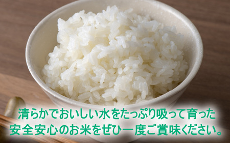 【先行予約】【令和7年産 新米】減農薬・減化学肥料の特別栽培コシヒカリ 白米 10kg（5kg×2）農家直送 福井県大野市産 [B-004002]