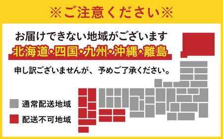 【先行予約】福井県大野市 冬の名物 でっち羊かん 小サイズ約400g 亀寿堂 水ようかん【11月～順次発送】