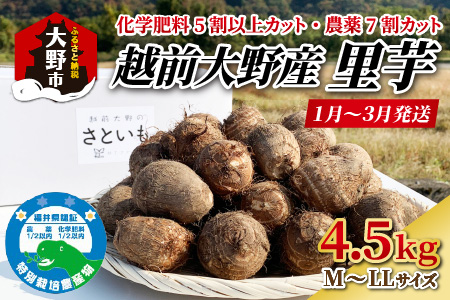 年明け1月～3月下旬まで発送】越前大野産 里芋 4.5kg 化学肥料5割以上