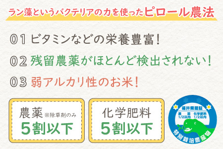 ピロール米 福井産 コシヒカリ 令和5年産 玄米5kg ご希望で精米無料 - 食品