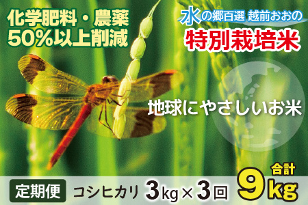 【令和7年産】【3ヶ月定期便】こしひかり 3kg × 3回 計 9kg【白米】減農薬・減化学肥料「特別栽培米」－地球にやさしいお米－[A-003001] 24,500円