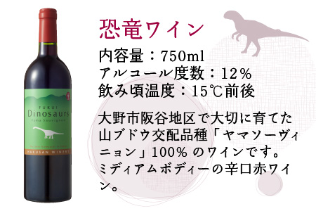 FUKUI 恐竜ワイン&ルージュ 750ml×2本 計1500ml [B-021003]