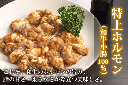 【お試しセット】とんちゃん祭2012年優勝商品！特上ホルモン（和牛小腸100％）（500g×1袋）[A-026003]