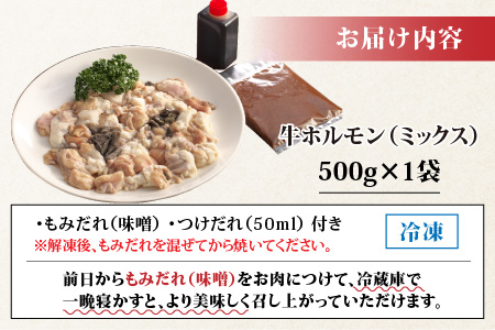 【お試しセット】ホルモンの老舗 六間星山の牛ホルモン（ミックス）（500ｇ×1袋）[A-026004]