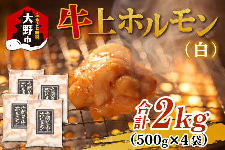 ホルモンの老舗 六間星山の牛上ホルモン（白）2kg（500ｇ×4袋）[A-026009]