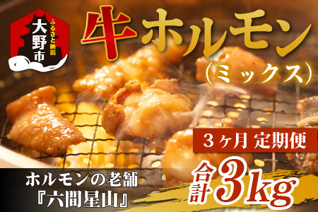 【3ヶ月定期便】ホルモンの老舗 六間星山の牛ホルモン（ミックス）1kg（500g×2袋）×3回　合計3kg[C-026002]