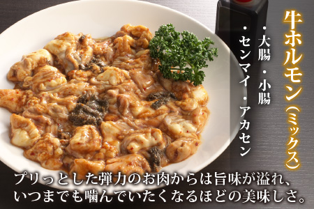 【3ヶ月定期便】ホルモンの老舗 六間星山の牛ホルモン（ミックス）1kg（500g×2袋）×3回　合計3kg[C-026002]