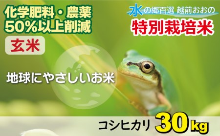 【令和5年産】こしひかり 30kg【玄米】減農薬・減化学肥料 「特別栽培米」－地球にやさしいお米－[C-003004]