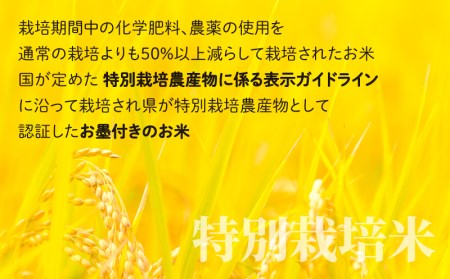 【令和5年産】こしひかり 30kg【玄米】減農薬・減化学肥料 「特別栽培米」－地球にやさしいお米－[C-003004]