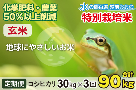 【令和7年産】【3ヶ月定期便】こしひかり 30kg × 3回 計 90kg【玄米】減農薬・減化学肥料 「特別栽培米」－地球にやさしいお米－[J-003004]