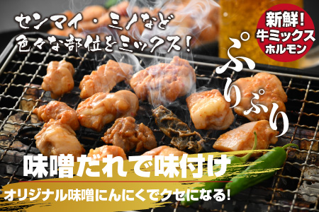 【先行予約】大美のとんちゃん（ミックス）牛ホルモン ミックス 味噌ダレ 1kg（500g×2パック）【2026年1月17日～順次発送開始】