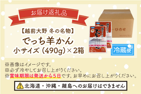 【先行予約】福井県大野市 冬の名物 でっち羊かん (お菓子のひろせ 水ようかん) 小サイズ (490g)×2箱【11月～順次発送】