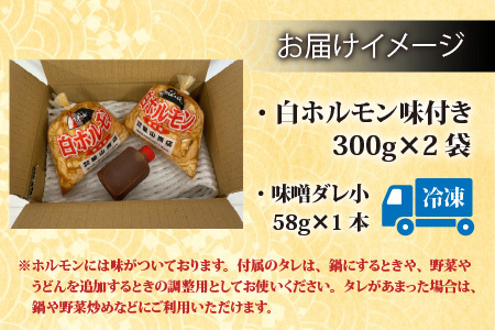 【全国ホルモン大会初代優勝】 星山ホルモン 白 ホルモン 600g お試し 小分け (300g×2袋・たれ付) 【行列のできるお店】