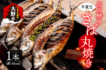 【先行予約】魚屋直送！大野名物 炭火焼き 半夏生さば（丸焼きさば）1本【2025年6月28日～7月10日お届け】