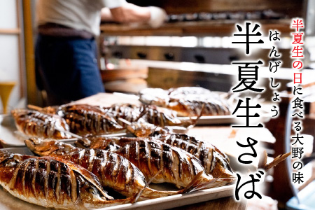 【先行予約】魚屋直送！大野名物 炭火焼き 半夏生さば（丸焼きさば）1本【2025年6月28日～7月10日お届け】