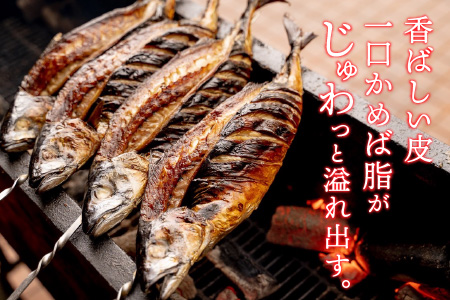 【先行予約】魚屋直送！大野名物 炭火焼き 半夏生さば（丸焼きさば）1本【2025年6月28日～7月10日お届け】