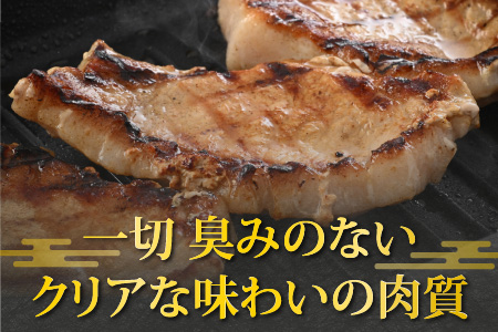 【福井のブランド豚肉】荒島ポーク ロース ステーキ・かつ用 770g[A-054003]