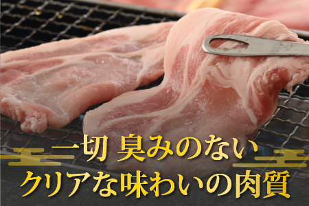【福井のブランド豚肉】荒島ポーク ロース焼肉用 660g[A-054004]