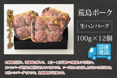 【福井のブランド豚肉】荒島ポーク 手作りハンバーグ100g×12個（計1.2kg）[A-054009]