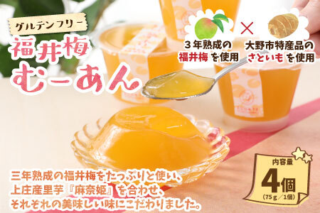 【アレルギー対応スイーツ】まなひめむーあんＡ 6個 詰合せ【里芋ベースのゼリー風スイーツ】(三年熟成の福井梅、石川県の高級ぶどうルビーロマンを丸ごと使用)【お歳暮】