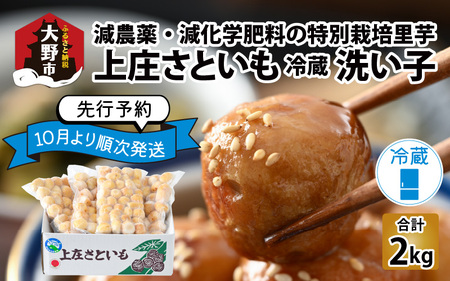 上庄さといも 洗い子 2kg（500g × 4袋）【冷蔵】減農薬・減化学肥料の