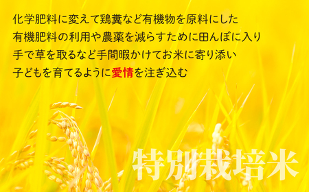 地球にやさしいパックご飯 10食入り【白米】　減農薬・減化学肥料 「特別栽培米」－地球にやさしいお米－