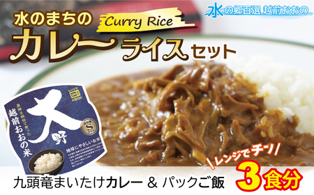 レンジでチン！水のまちのカレーライスセット【３食分】
