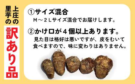 訳あり!上庄の里芋 5kg【土付】