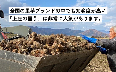 訳あり!上庄の里芋 5kg【土付】
