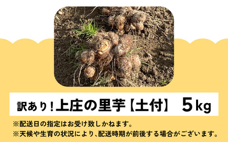 訳あり!上庄の里芋 5kg【土付】