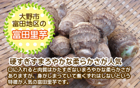 【先行予約】希少！とみた里芋 3kg ねっとりまろやか煮崩れなし！【2026年3月中旬～4月上旬出荷】