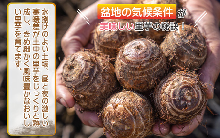 【先行予約】希少！とみた里芋 3kg ねっとりまろやか煮崩れなし！【2026年3月中旬～4月上旬出荷】