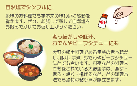 【先行予約】希少！とみた里芋 3kg ねっとりまろやか煮崩れなし！【2026年3月中旬～4月上旬出荷】