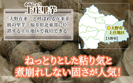 日本の美味い里芋！秋の味覚 上庄里芋 3kg【出荷：2026年3月～】