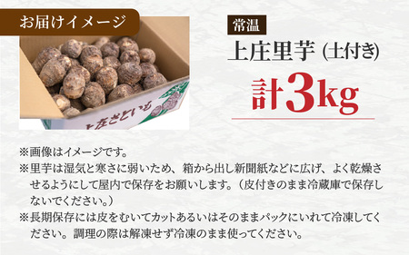 日本の美味い里芋！秋の味覚 上庄里芋 3kg【出荷：2026年3月～】