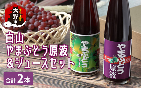 【白山ワイナリー】白山やまぶどう原液＆ジュースセット【お中元】