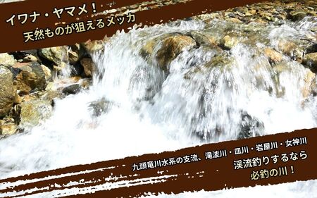 【2026年分】九頭竜川（勝山市漁協） 雑魚年券 1名様分 [A-001010]