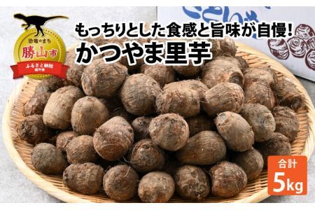 【先行予約】 令和6年産 かつやま里芋 5kg ※2024年10月25日以降順次発送 [A-005006]