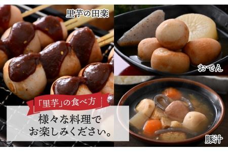 【先行予約】 令和6年産 かつやま里芋 5kg ※2024年10月25日以降順次発送 [A-005006]