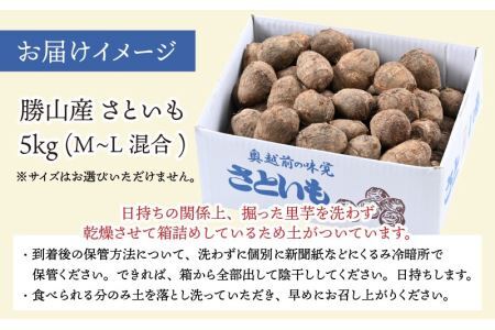 【先行予約】 令和6年産 かつやま里芋 5kg ※2024年10月25日以降順次発送 [A-005006]