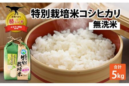 ★わんわんワン様★専用【特別栽培米 朝日】5kg ☆わんわんワン様☆専用【特別栽培米 朝日】5kg（おかやま自然