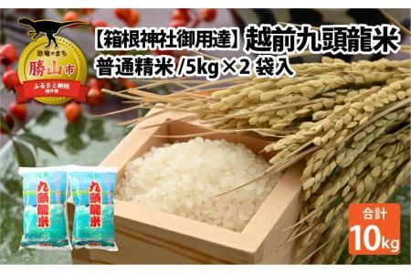 ＜箱根神社御用達＞越前九頭龍米(5kg×2袋)  精米 令和6年産 [B-006017]