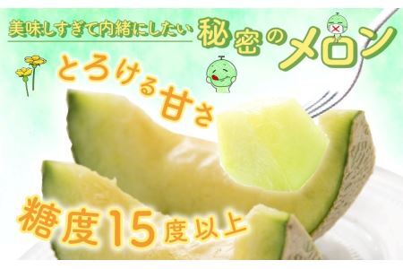 【先行予約】若猪野アールスメロン 1.7kg 以上 2玉 箱入り ※2025年8月下旬より順次発送 [A-011010]