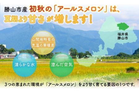 【先行予約】若猪野アールスメロン 1.7kg 以上 2玉 箱入り ※2025年8月下旬より順次発送 [A-011010]