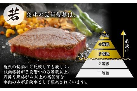福井県産若狭牛ステーキ(モモ肉)約200g×3枚&切り落とし300gセット [B-012006]