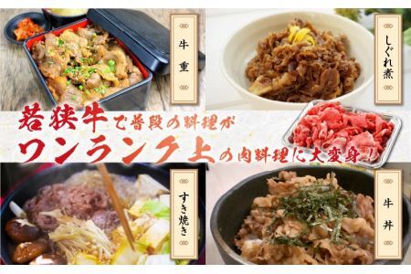 福井県産若狭牛ステーキ(モモ肉)約200g×3枚&切り落とし300gセット [B-012006]