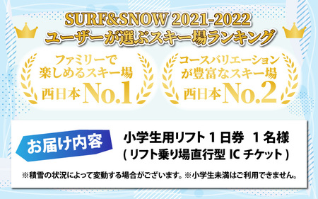 スキージャム勝山 小学生用リフト1日券（早割）[A-013012]