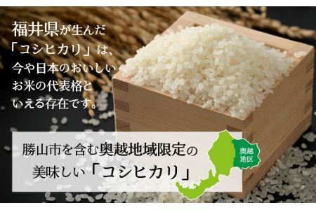 【6ヶ月連続定期便】令和6年産 福井県産奥越コシヒカリ5kg ×1袋（5kg × 6ヶ月） [H-015003]