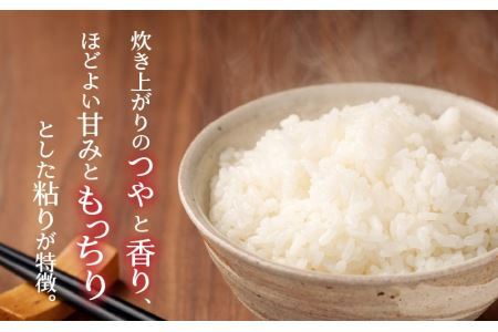 【6ヶ月連続定期便】令和6年産 福井県産奥越コシヒカリ5kg ×1袋（5kg × 6ヶ月） [H-015003]