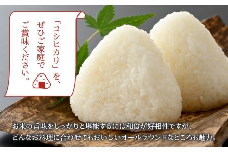 【6ヶ月連続定期便】令和6年産 福井県産奥越コシヒカリ5kg ×1袋（5kg × 6ヶ月） [H-015003]